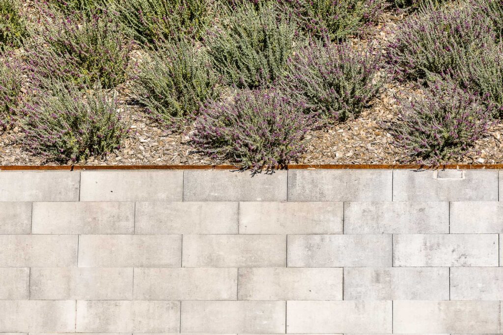 PLATINUM@BCN_RB_3968-Editarw